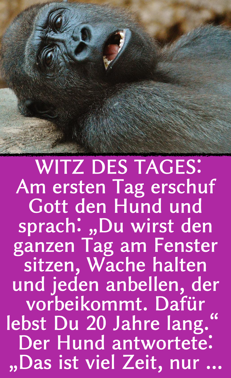 Tierwitz des Tages: Mensch stellt Forderung an Gott