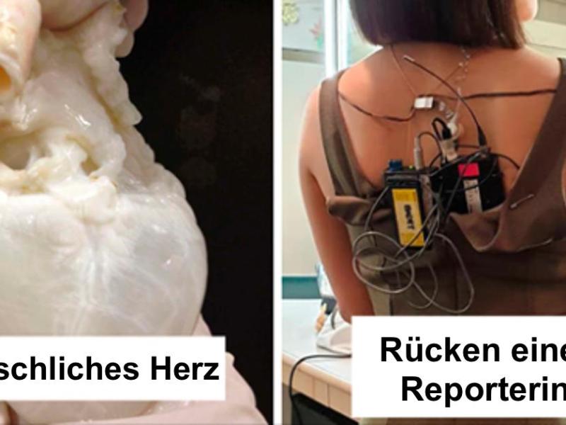 menschliches Herz ohne Blut/ verkabelte Moderatorin