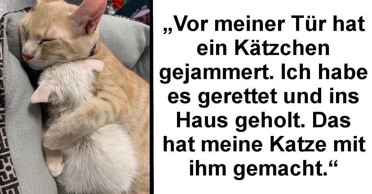 14 Haustiere, deren Herzen voller Liebe sind Einfach schön