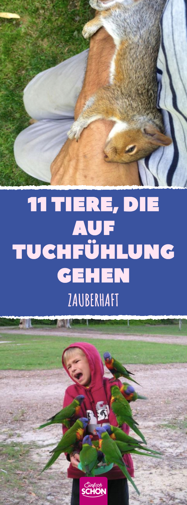 Disney-Prinzessin: 14 niedliche und zutrauliche Tiere