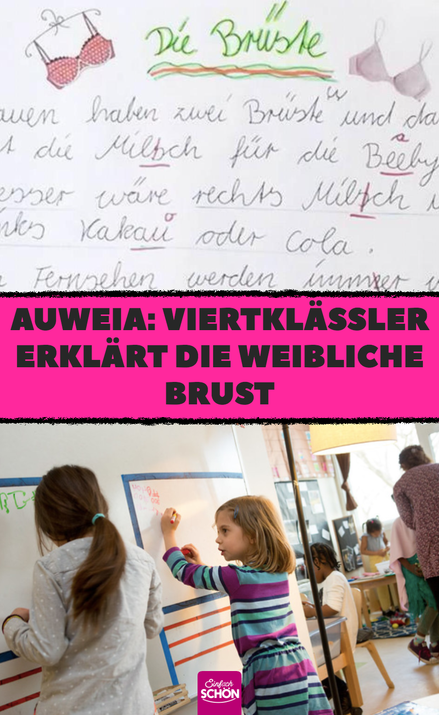 Viertklässler erklärt die weibliche Brust