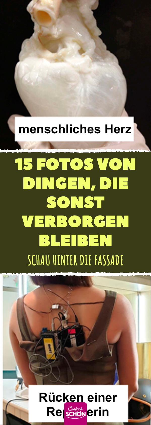 15 seltene Fotos zeigen verborgene Geheimnisse
