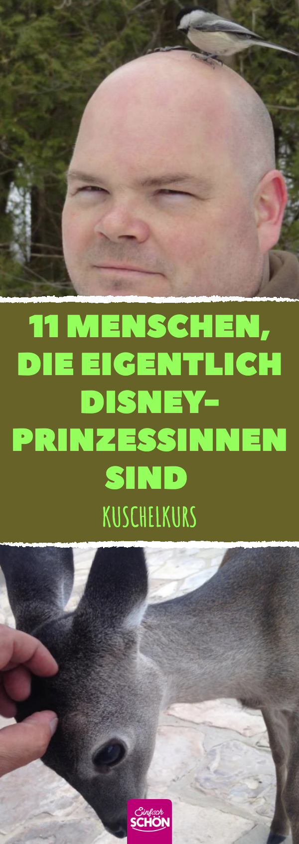 Disney-Prinzessin: 14 niedliche und zutrauliche Tiere