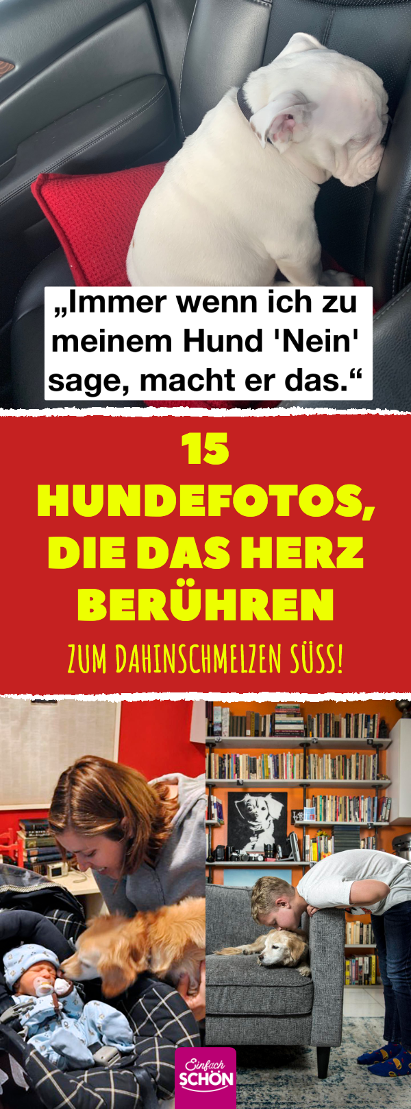 15 niedliche Hundebilder fürs Herz