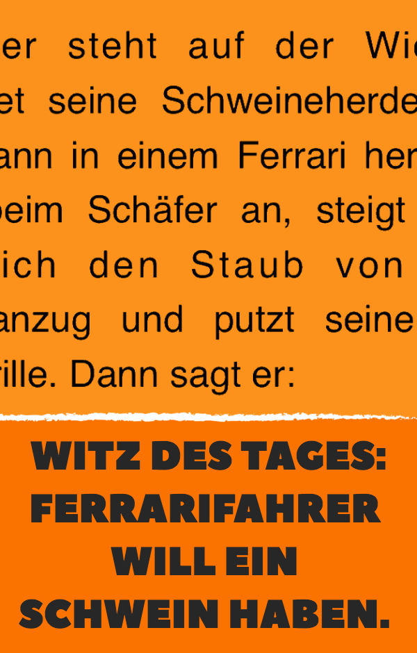 Witz des Tages: Ferrarifahrer will ein Schwein haben