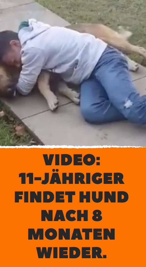 Video: Rocco Risso mit vermisstem Hund Jack vereint