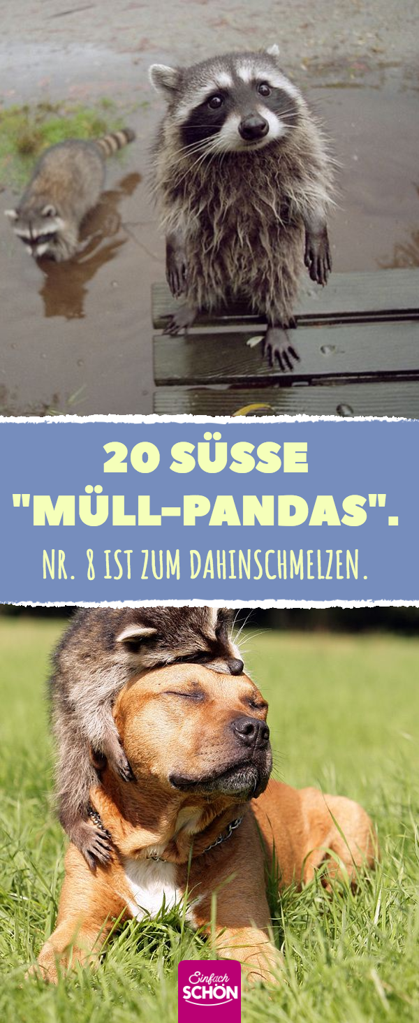 20 süße \