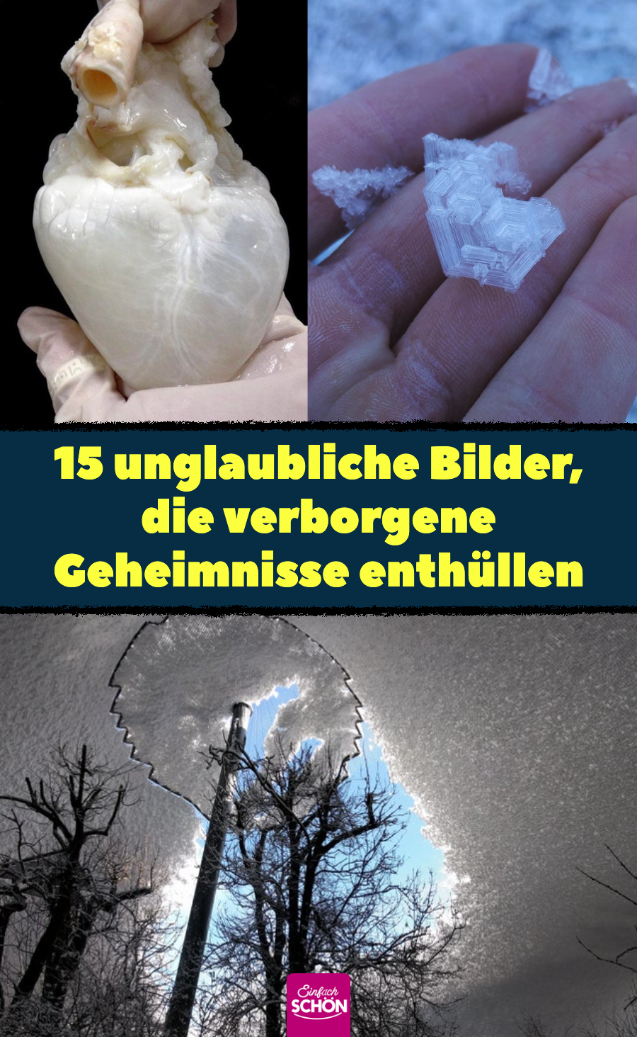 15 seltene Fotos zeigen verborgene Geheimnisse