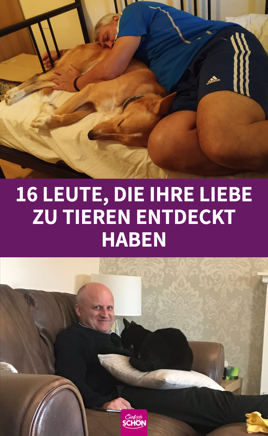 16 Leute, die zuerst keine Haustiere wollten
