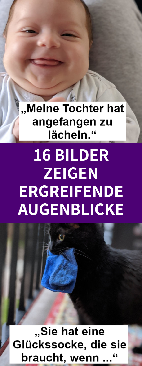 16 Bilder zeigen ergreifende Augenblicke