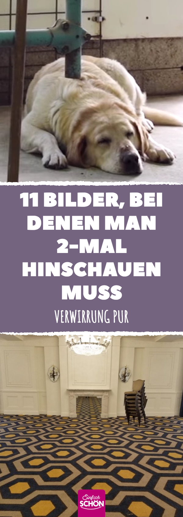 11 Fotos, die deine Augen austricksen