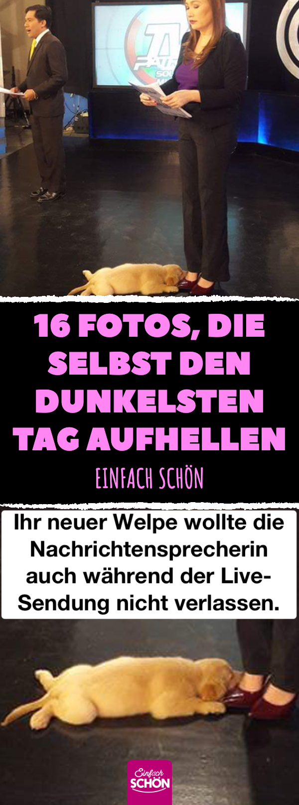 14 Bilder, die jede schlechte Laune vertreiben