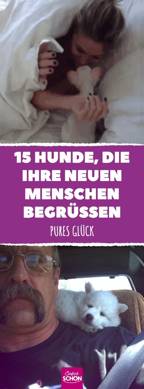 Hundebesitzer, die zum ersten Mal ihre Schützlinge treffen