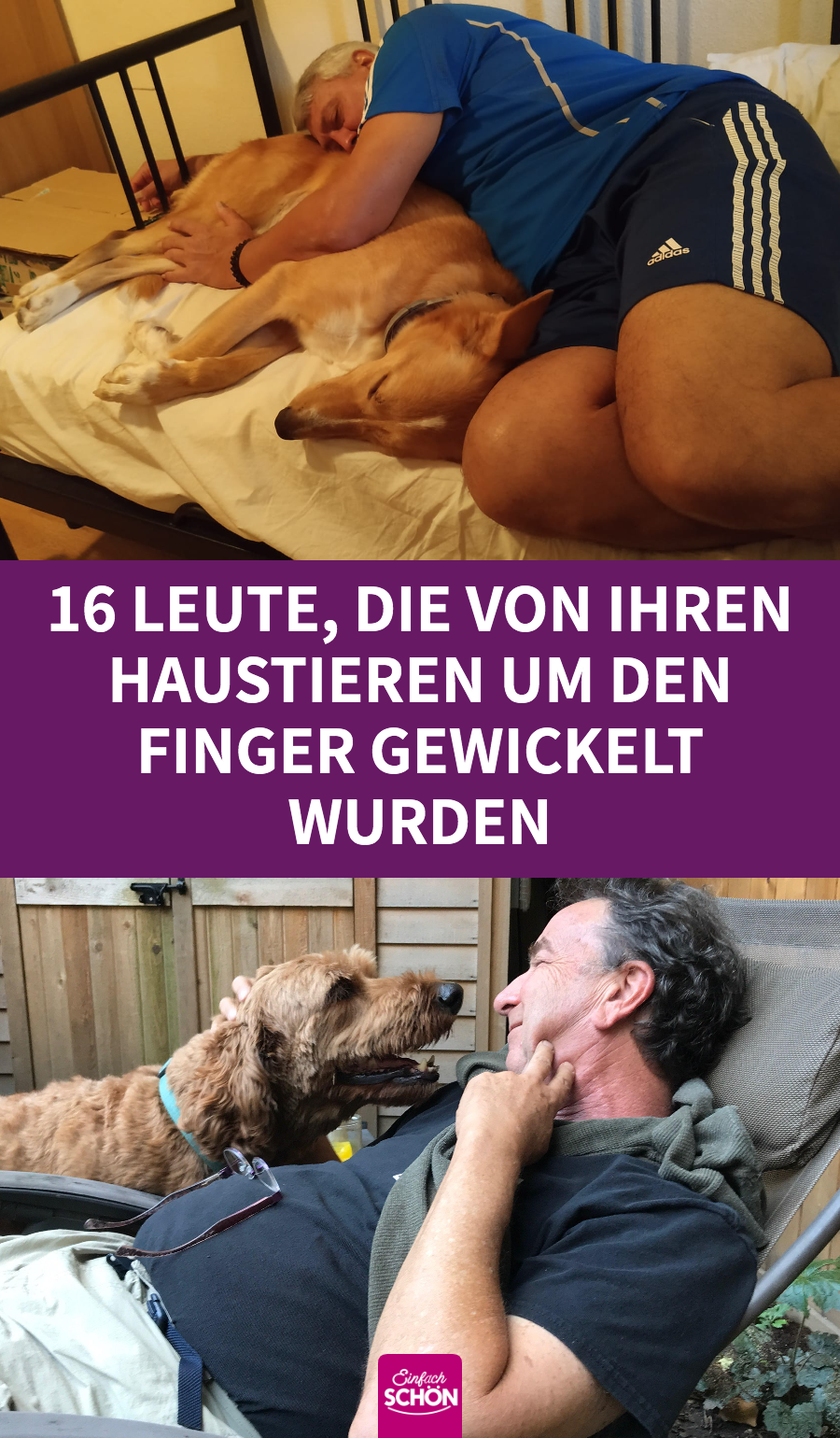 16 Leute, die zuerst keine Haustiere wollten