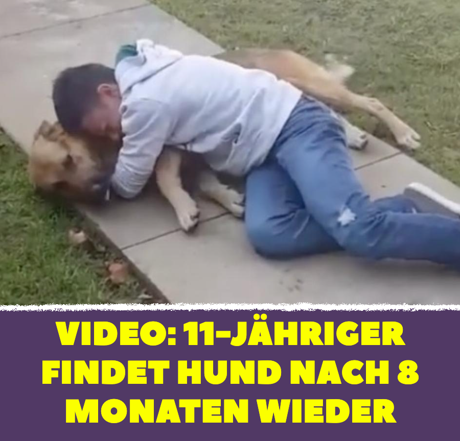 Video: Rocco Risso mit vermisstem Hund Jack vereint