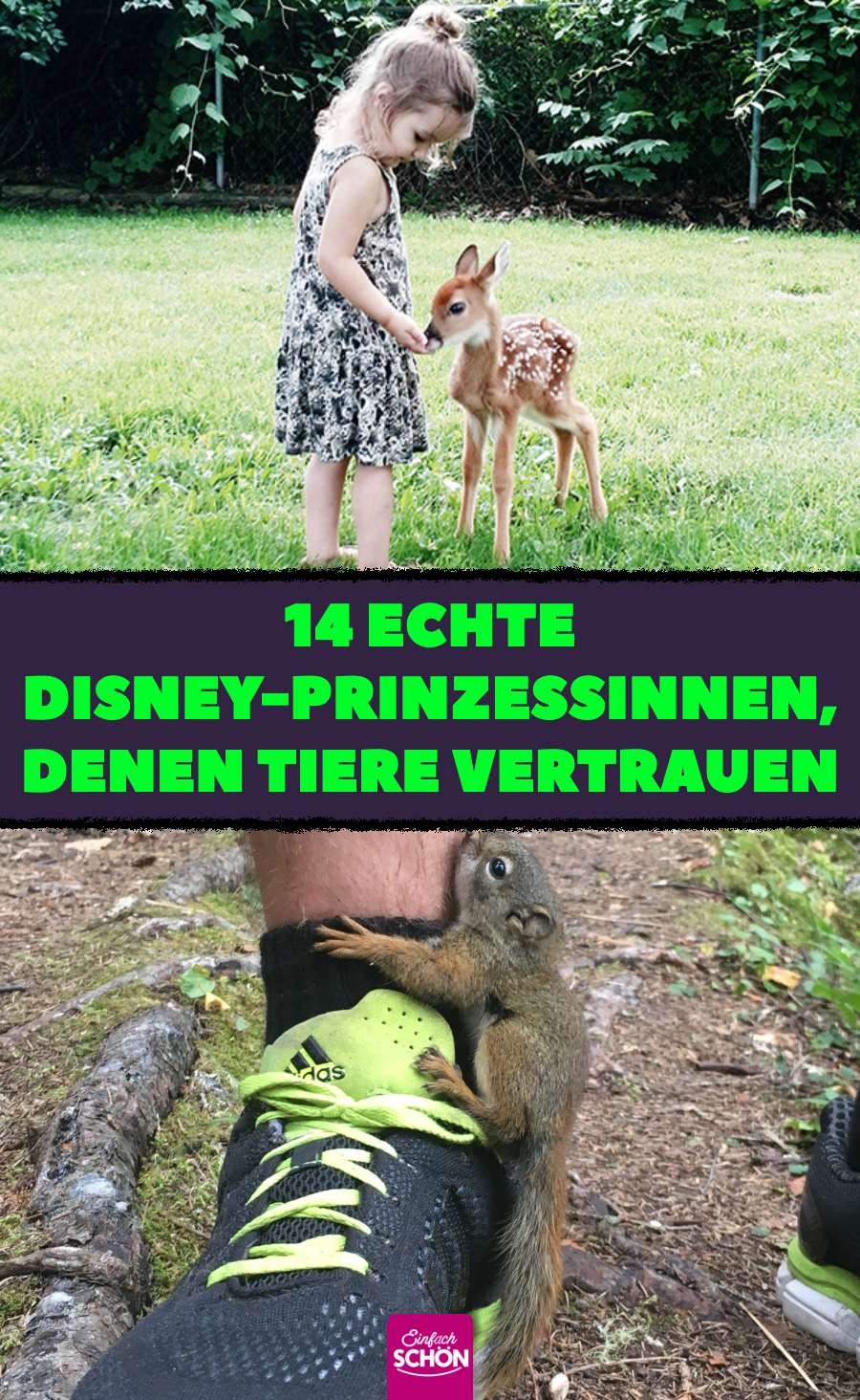 Disney-Prinzessin: 14 niedliche und zutrauliche Tiere