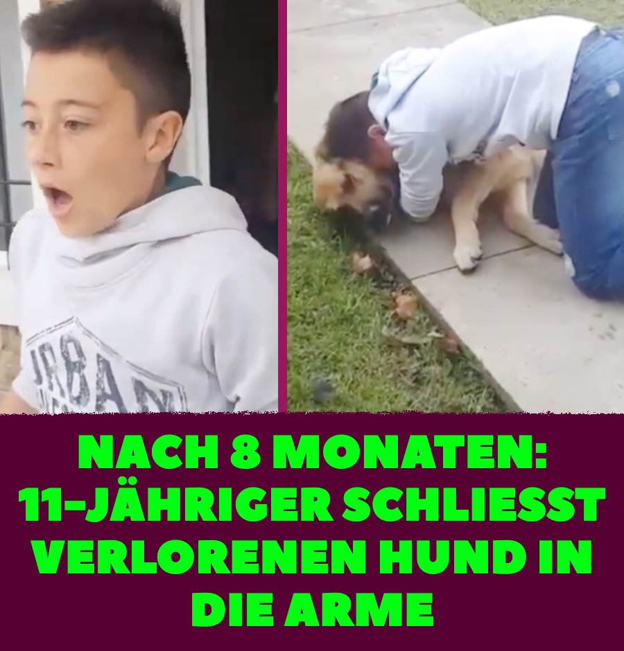 Video: Rocco Risso mit vermisstem Hund Jack vereint