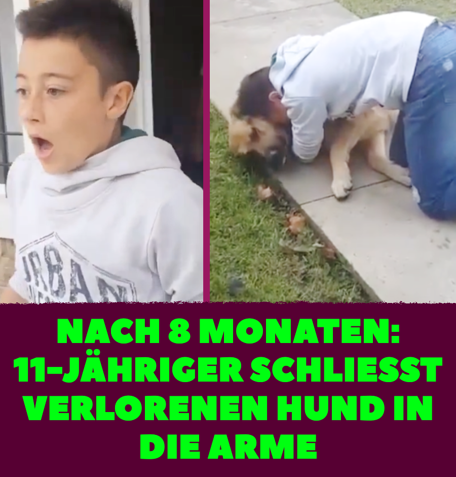 Video: 11-Jähriger findet Hund nach 8 Monaten wieder