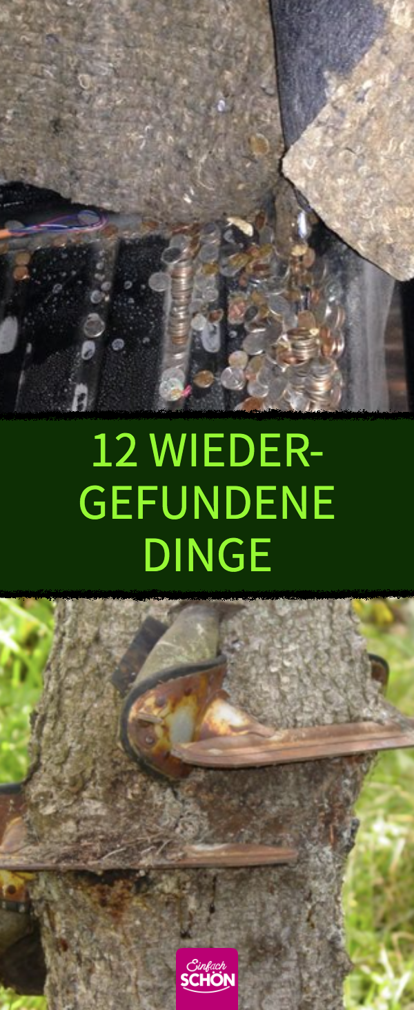 12 verlorene Dinge, die auf verrückte Weise wiedergefunden wurden