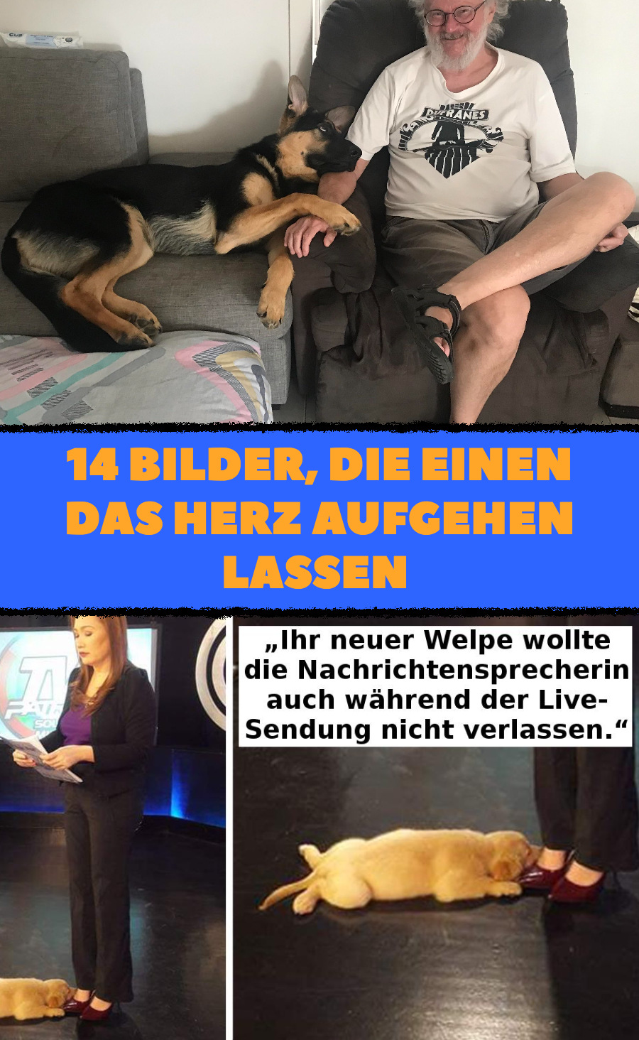 14 Bilder, die jede schlechte Laune vertreiben