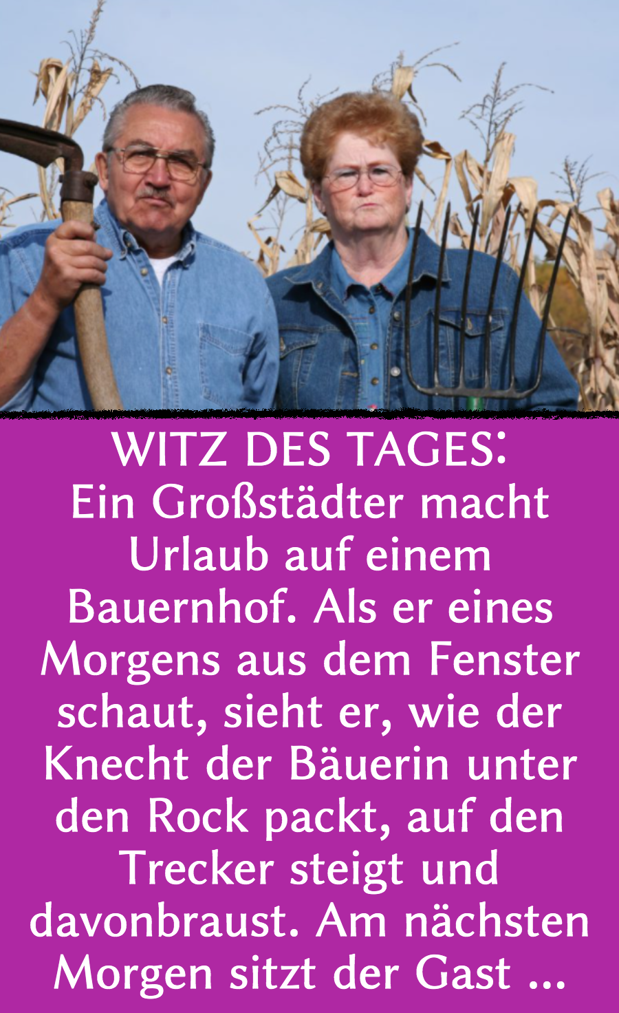 Bauern-Witz: Gast ertappt Knecht mit Bäuerin