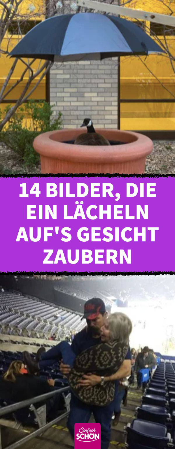 14 Bilder, die jede schlechte Laune vertreiben