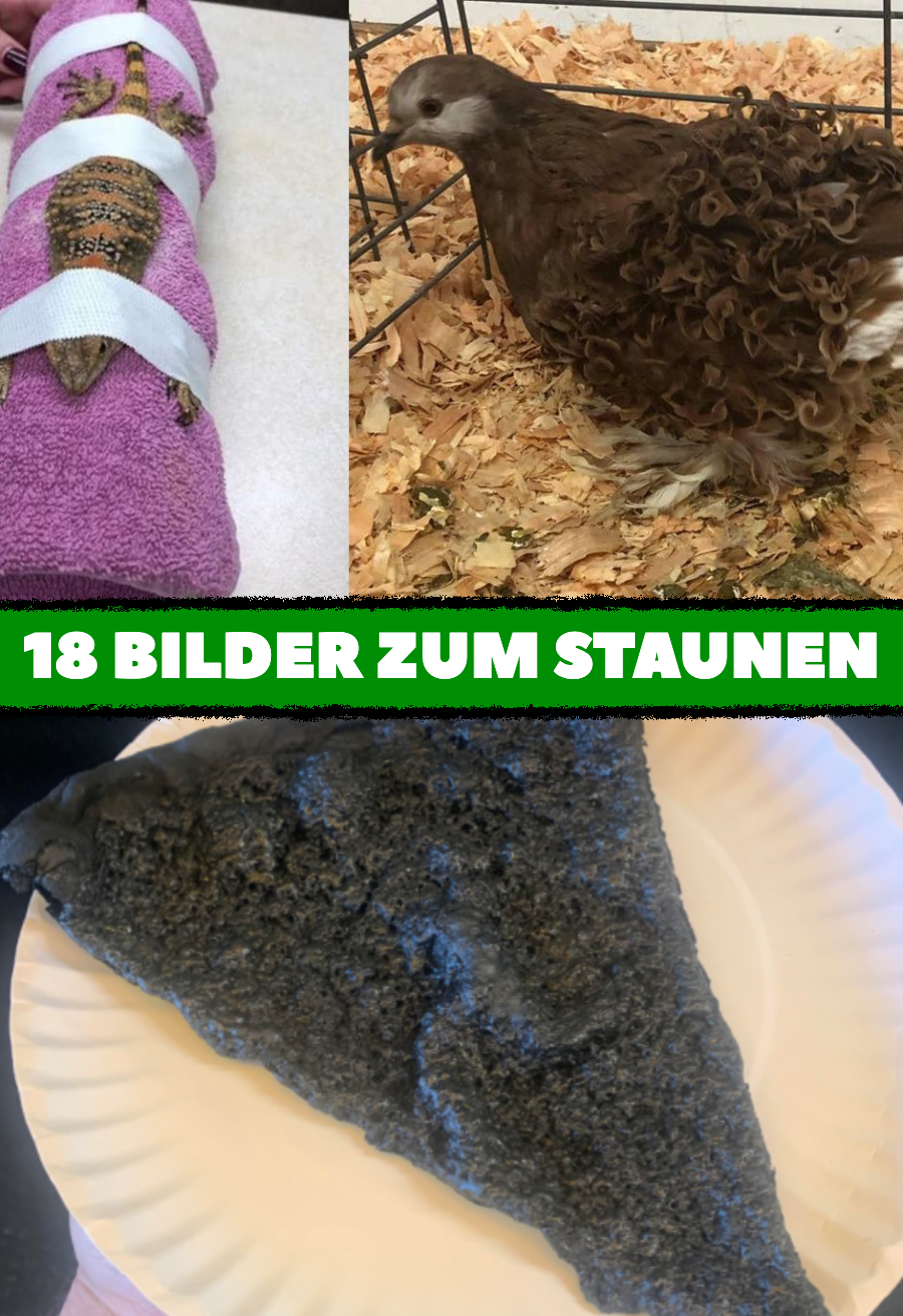 18 Bilder für Menschen, die schwer zu beeindrucken sind