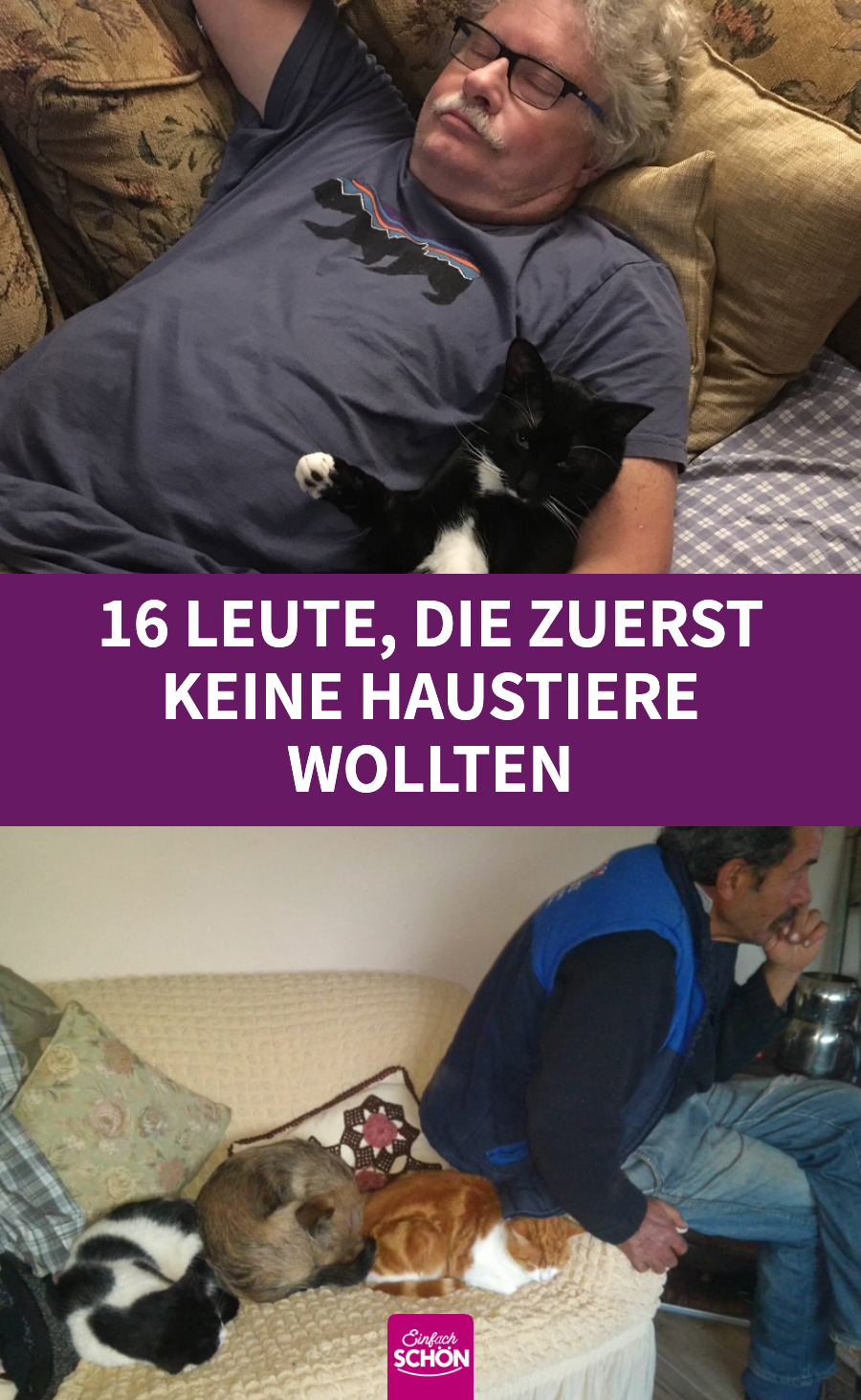 16 Leute, die zuerst keine Haustiere wollten