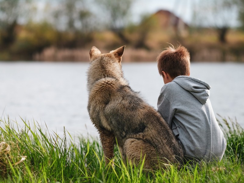 Ein Junge und ein Hund sitzen zusammen an einem Flussufer.