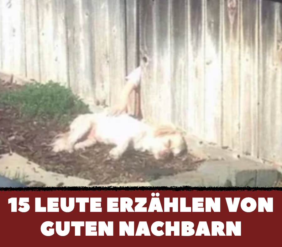 15 Leute erzählen ihre schönsten Nachbar-Geschichten