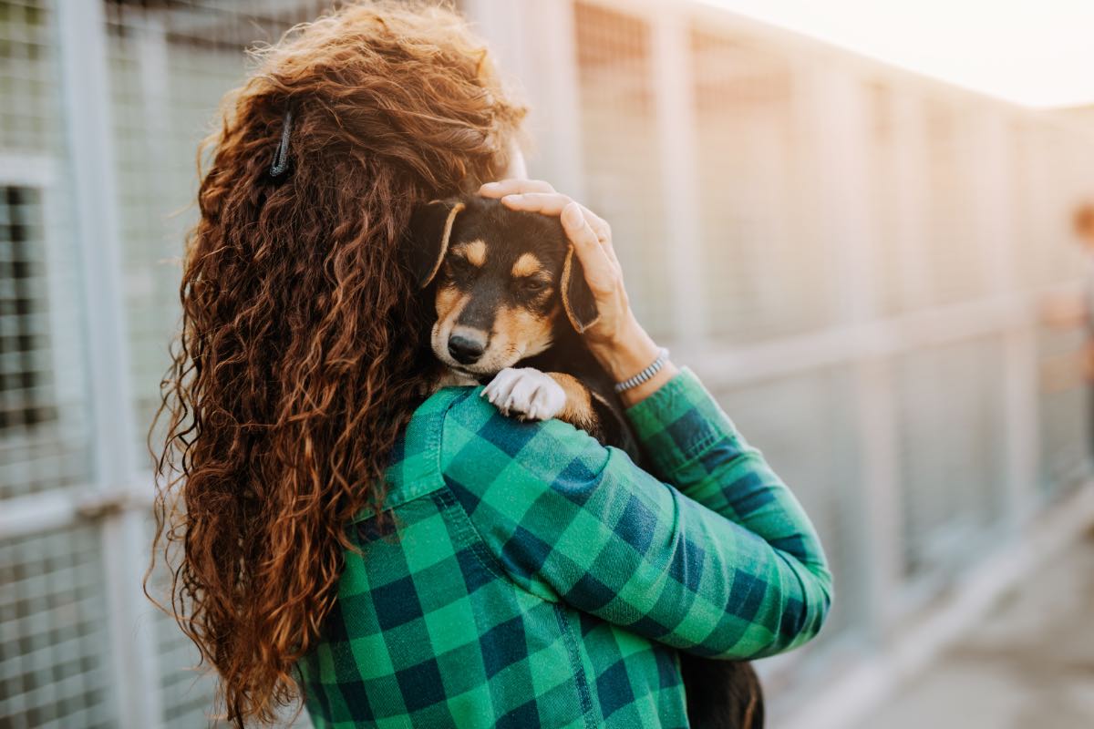 Eine junge Frau hält in einem Tierheim einen adoptierten Hund im Arm.