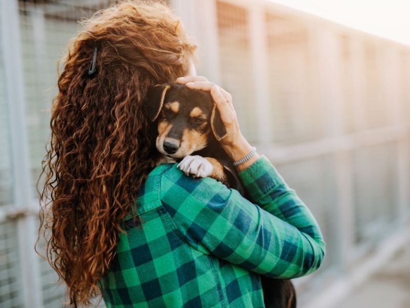 Eine junge Frau hält in einem Tierheim einen adoptierten Hund im Arm.