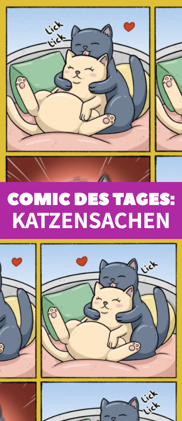 Comic des Tages: Katzensachen