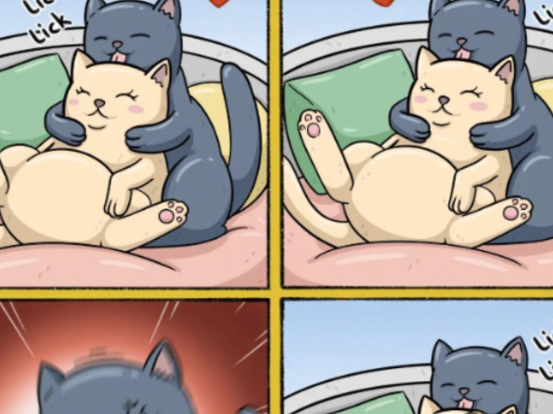 comic-des-tages-katzensachen-tbn