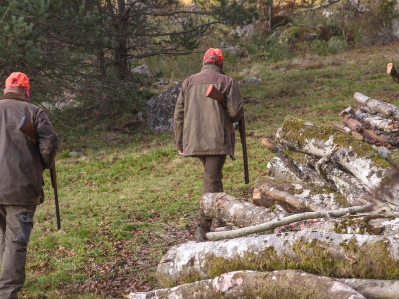 Zwei Jäger laufen mit Gewehr durch den Wald.