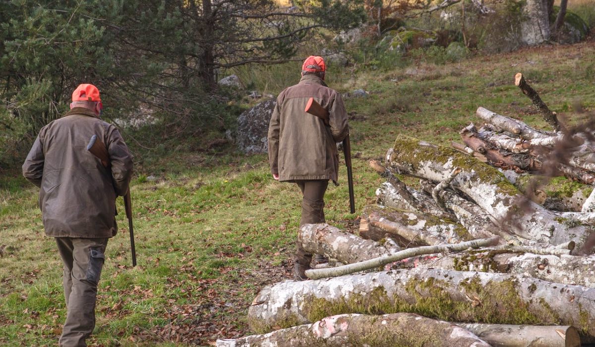 Zwei Jäger laufen mit Gewehr durch den Wald.