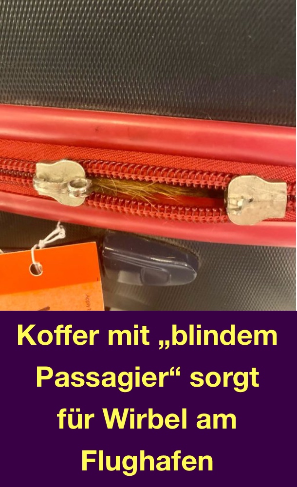Koffer mit „blindem Passagier“ sorgt für Wirbel am Flughafen