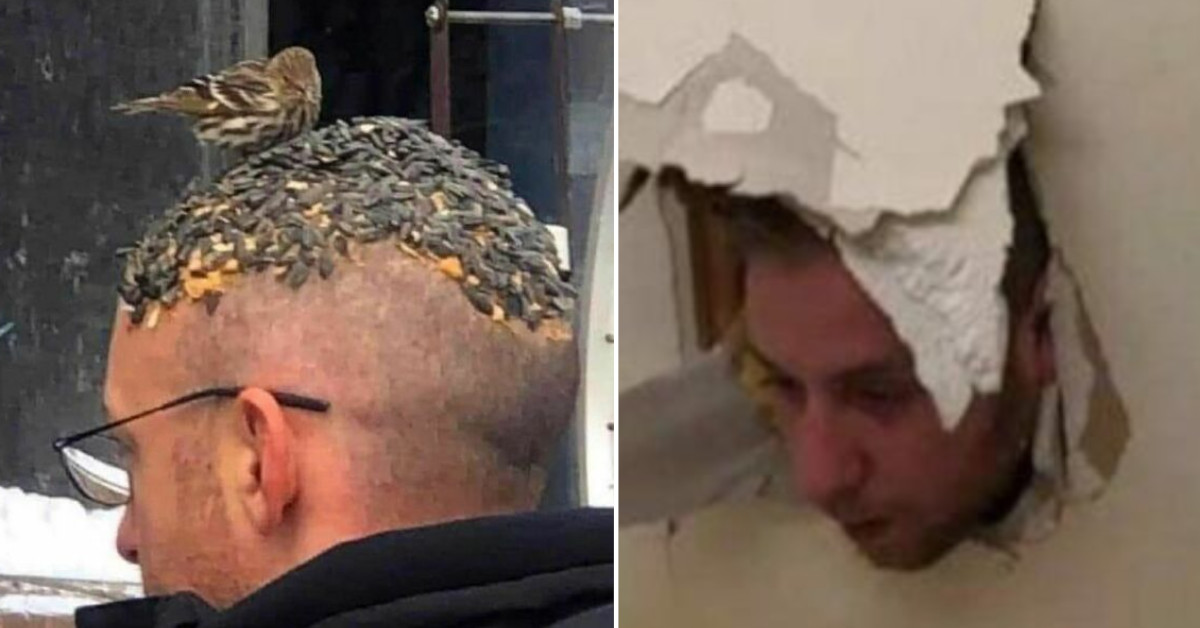 Absurde Bilder und lustige Fotos ohne Kontext