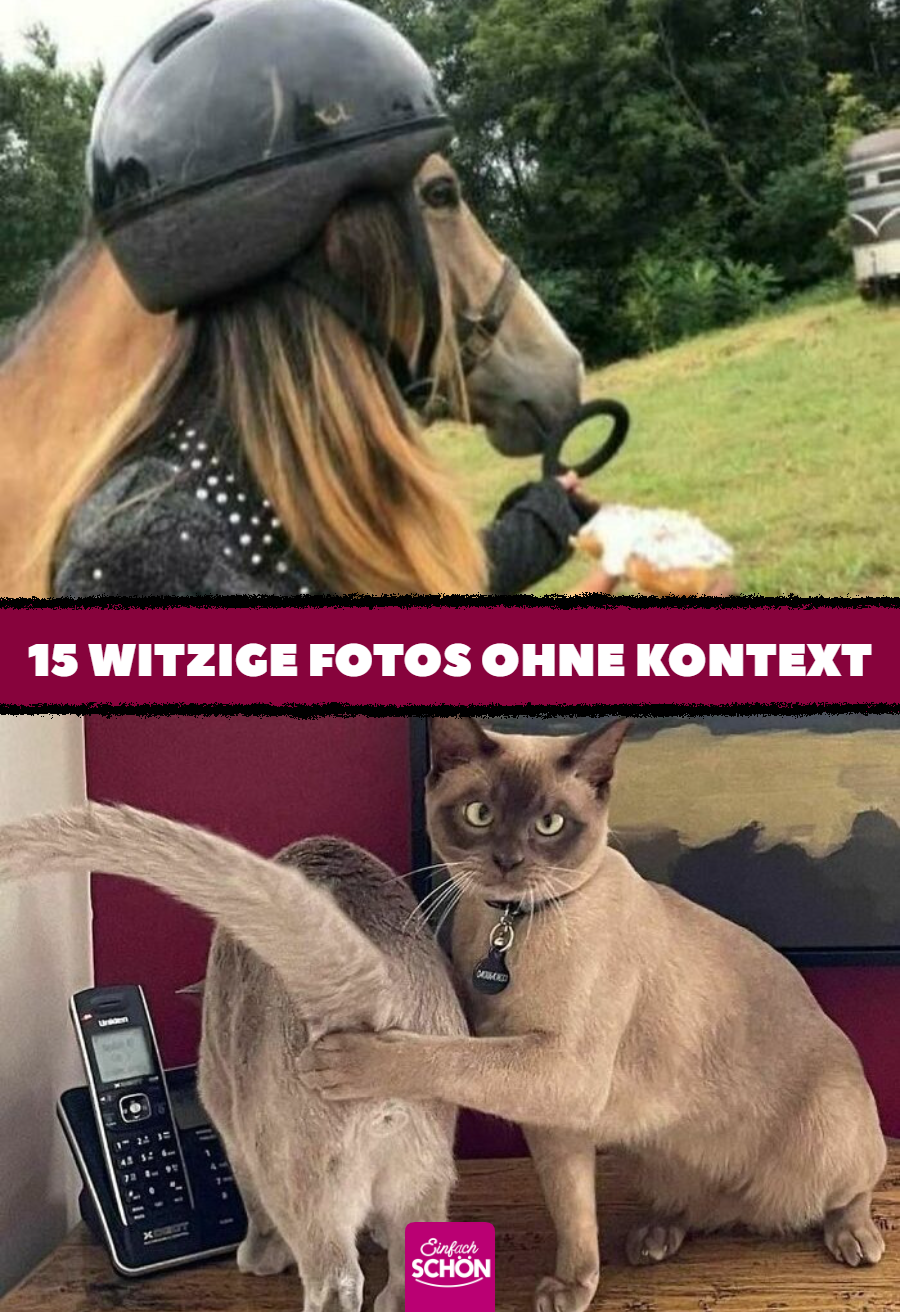Absurde Bilder und lustige Fotos ohne Kontext