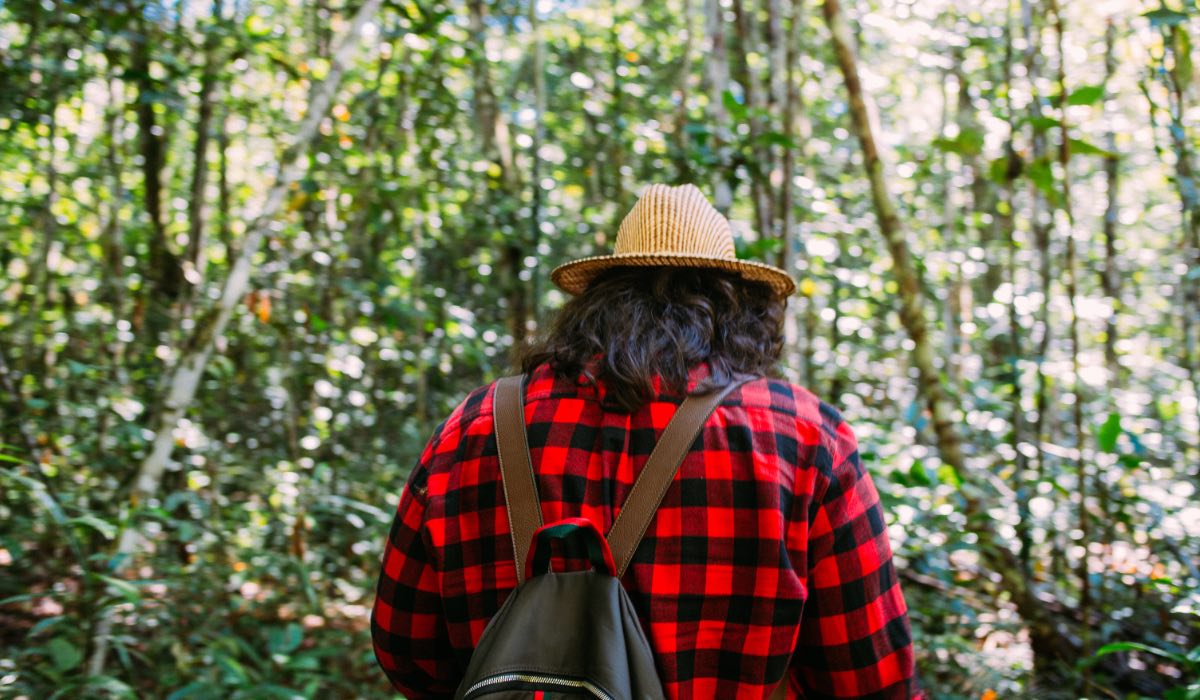 Ein Wanderer mit Hut und Rucksack wandert durch den Urwald