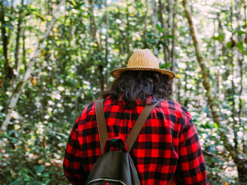 Ein Wanderer mit Hut und Rucksack wandert durch den Urwald