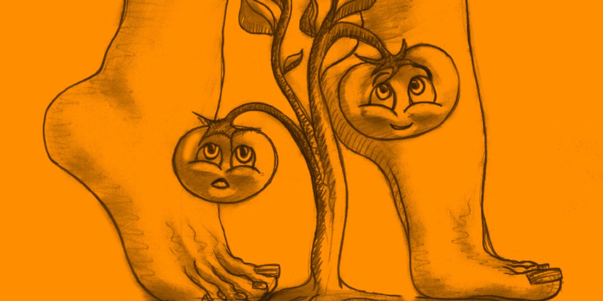 Eine Zeichnung von einem Paar Frauen-Füße vor einer Tomatenpflanze vor orangenem Hintergrund.