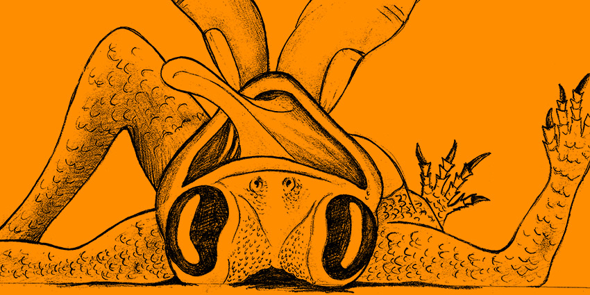 Eine Zeichnung von einer Echse, die mit Fingern hochgehoben wird, vor orangefarbenem Hintergrund.