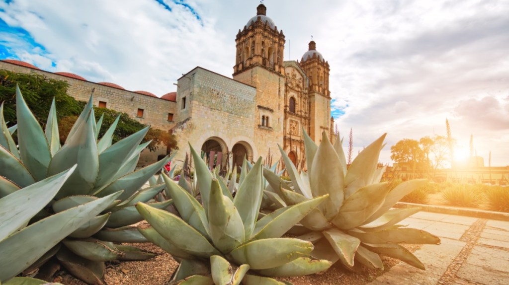 Geschmacksorgasmus in Oaxaca, Mexiko