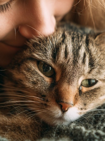 Katzenbesitzer tun diese Dinge viel zu selten