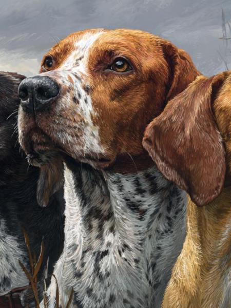 10 Intelligente Hunderassen: Geboren für die Jagd