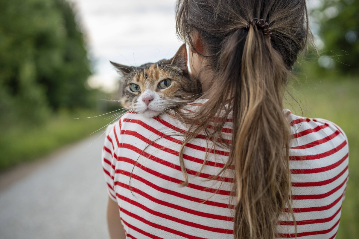 Wie du deine Katze davon abhältst, dich nachts zu wecken