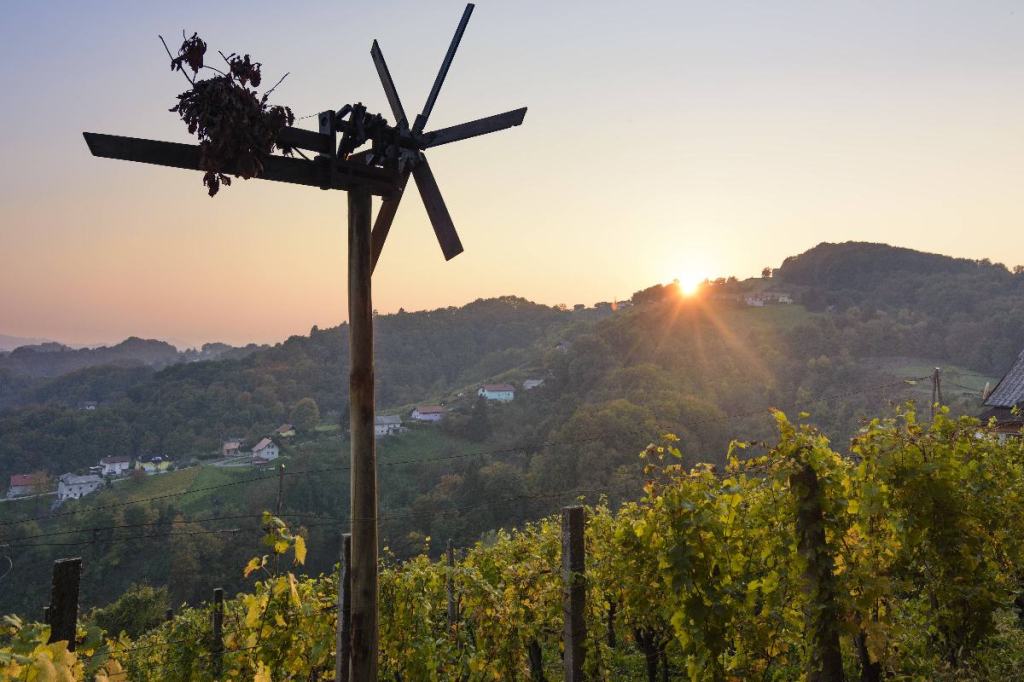 Der Wein