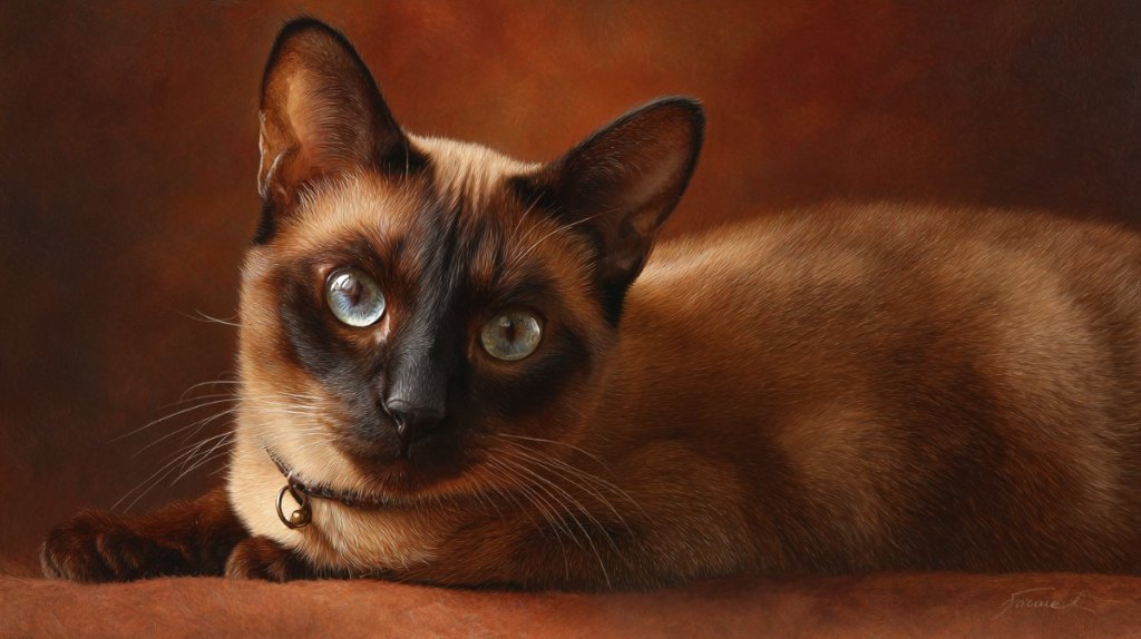 Tonkinese: Der Partylöwe (mit Grenzen)