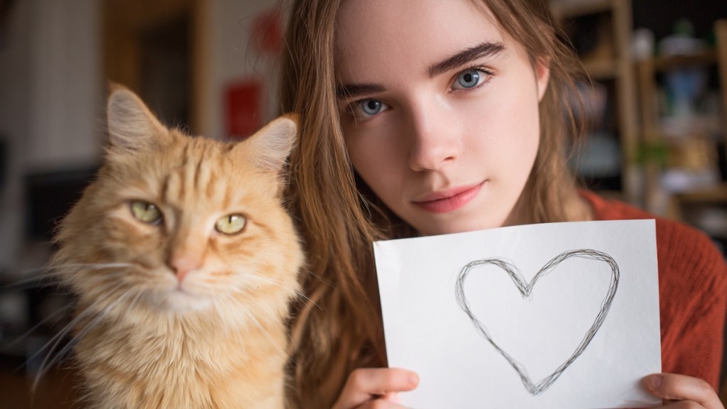 Dies sind die beliebtesten orangefarbenen Katzenrassen
